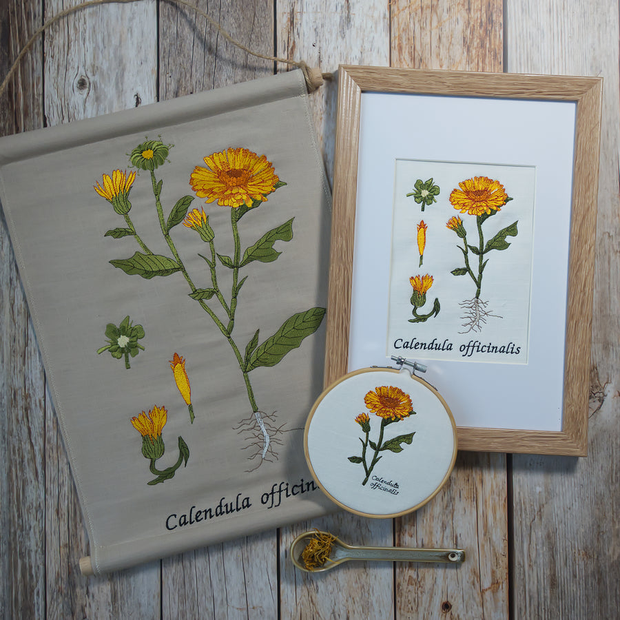 Calendula Bundle spare über 20 %