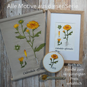 Stickdatei Botanische Zeichnung Calendula 10x10 cm