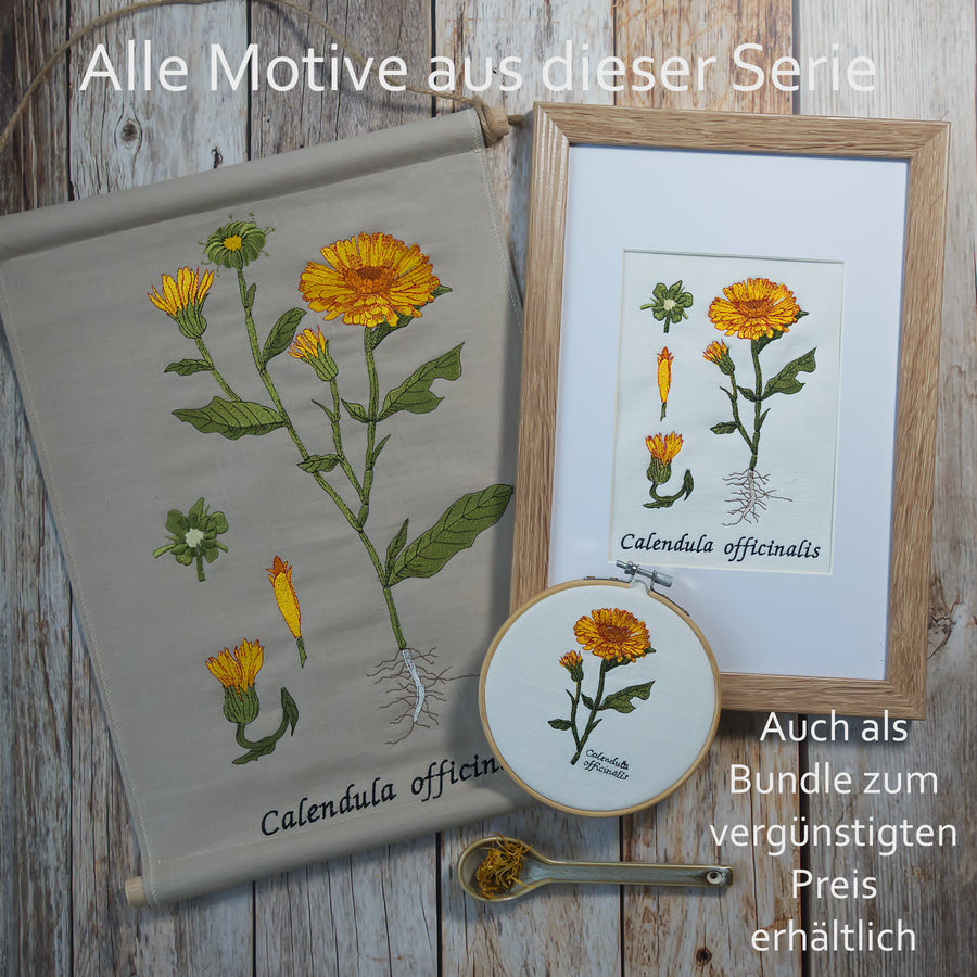 Stickdatei Botanische Zeichnung Calendula große Größen