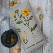 Stickdatei Botanische Zeichnung Calendula große Größen