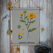 Stickdatei Botanische Zeichnung Calendula große Größen