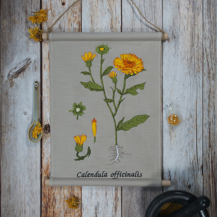 Stickdatei Botanische Zeichnung Calendula große Größen