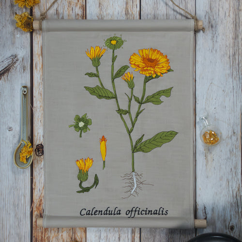 Stickdatei Botanische Zeichnung Calendula Ringelblume Frühling Sommer Cora Design
