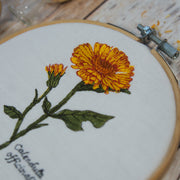 Calendula Bundle spare über 20 %