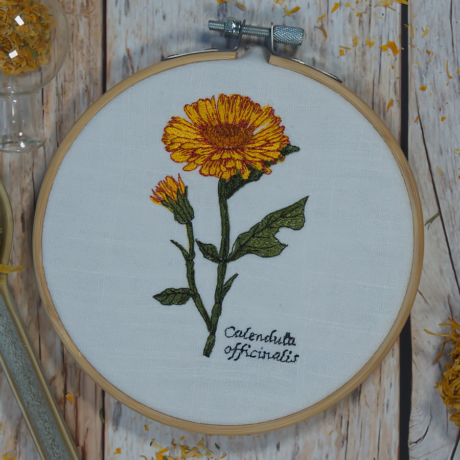 Stickdatei Ringelblume Calendula Botanische Zeichnung Frühling Sommer Cora Design