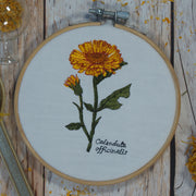 Calendula Bundle spare über 20 %