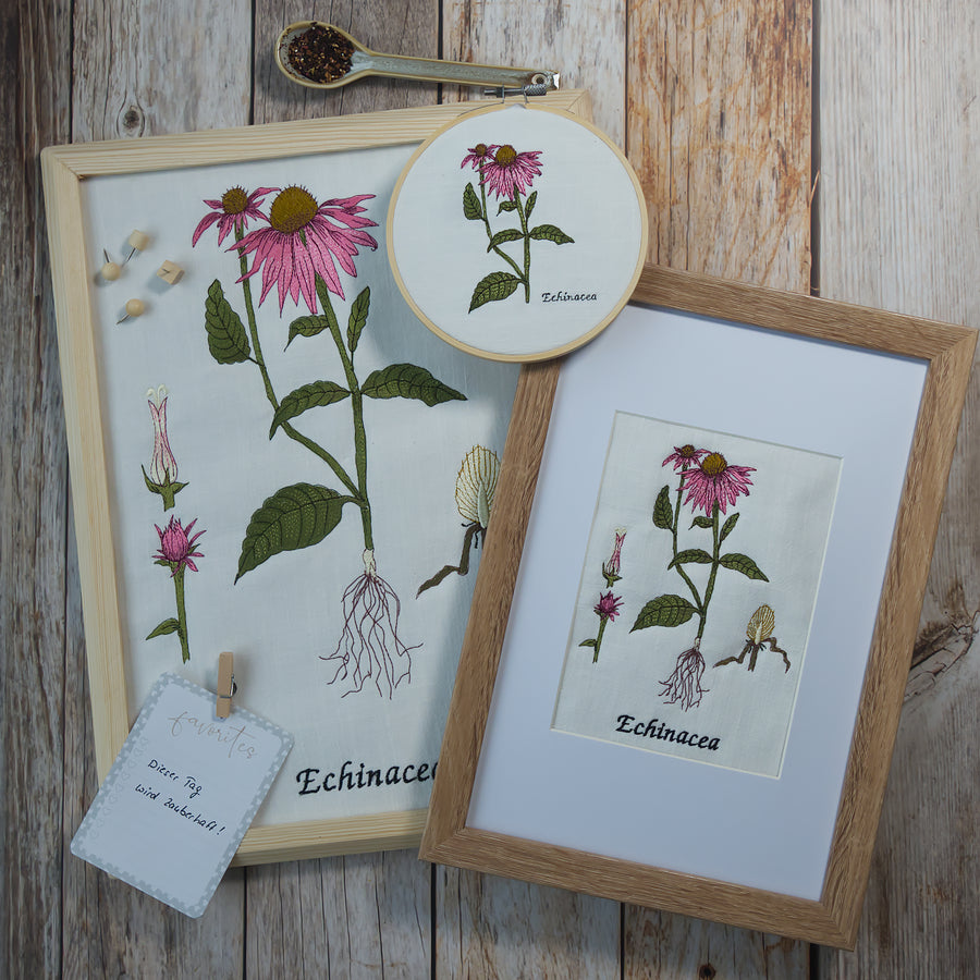 Echinacea Bundle spare über 20 %