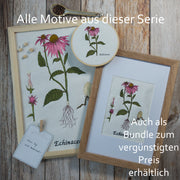 Stickdatei Botanische Zeichnung Echinacea 13 x 18 cm