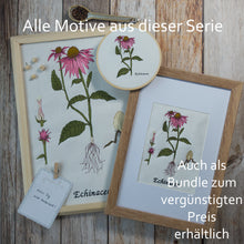 Lade das Bild in den Galerie-Viewer, Stickdatei Botanische Zeichnung Echinacea 13 x 18 cm
