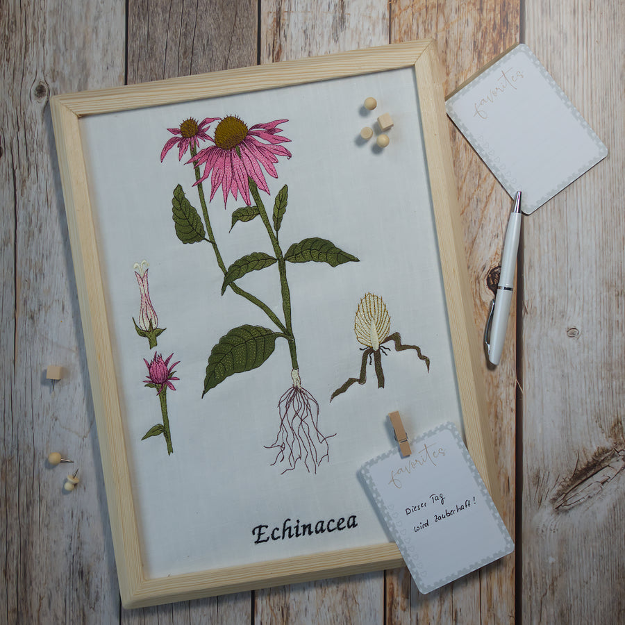 Echinacea Bundle spare über 20 %