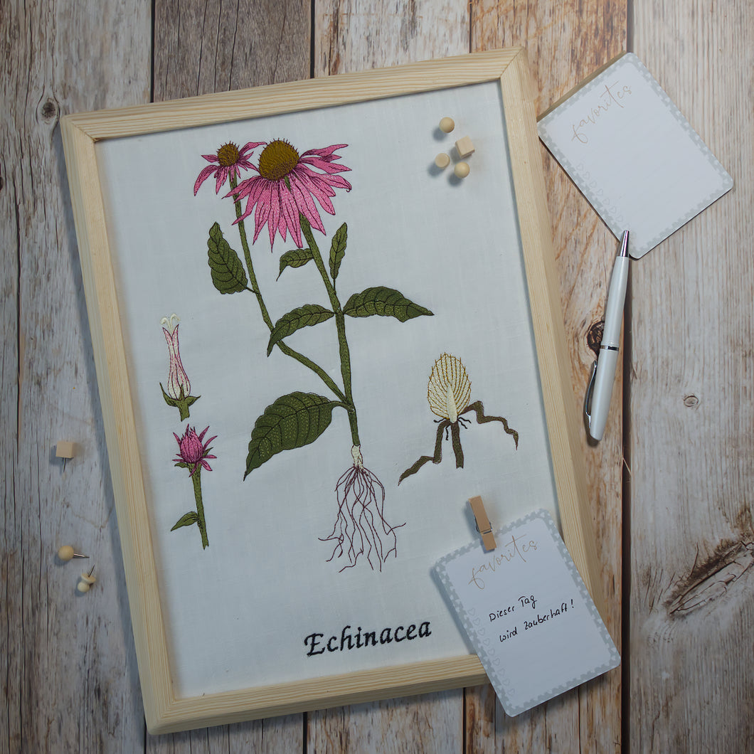 Stickdatei Echinacea Sonnenhut botanische Zeichnung Cora Design Frühling Sommer