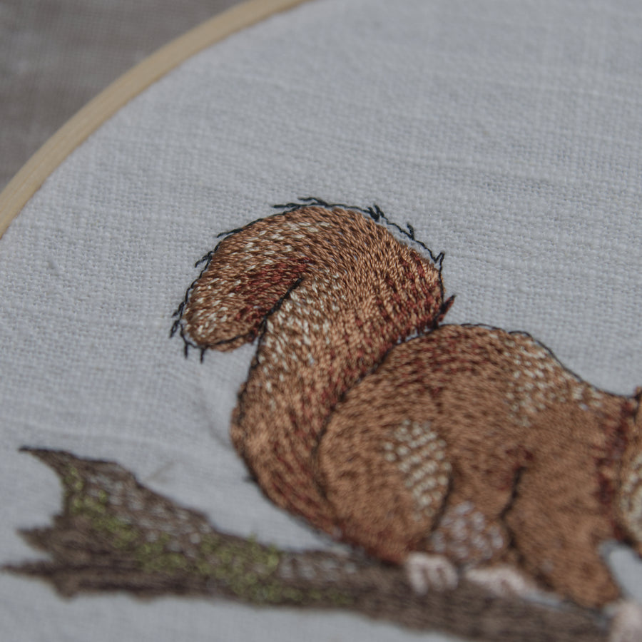 Stickdatei Eichhörnchen mit Haselnuss