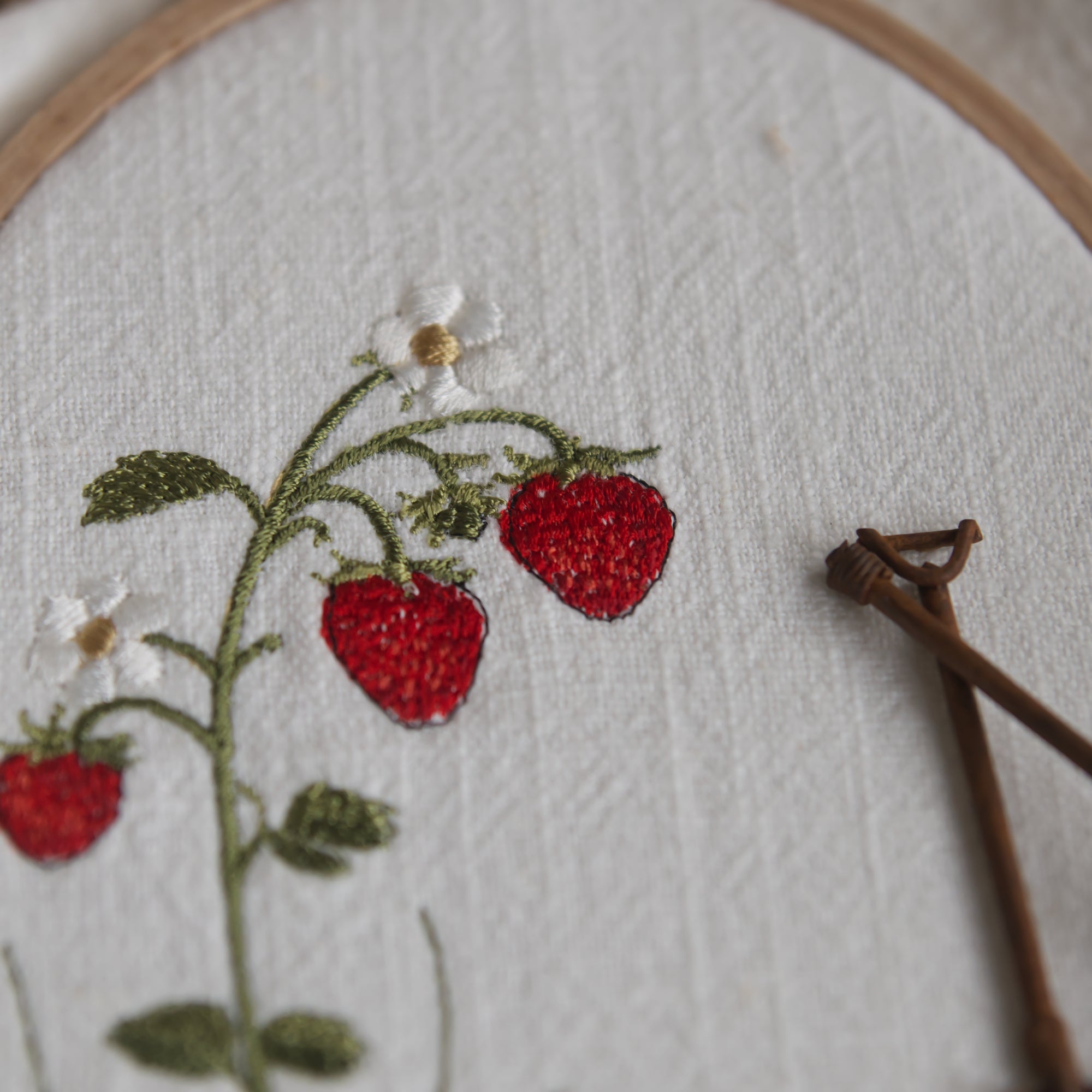 Stickdatei Erdbeerpflanze