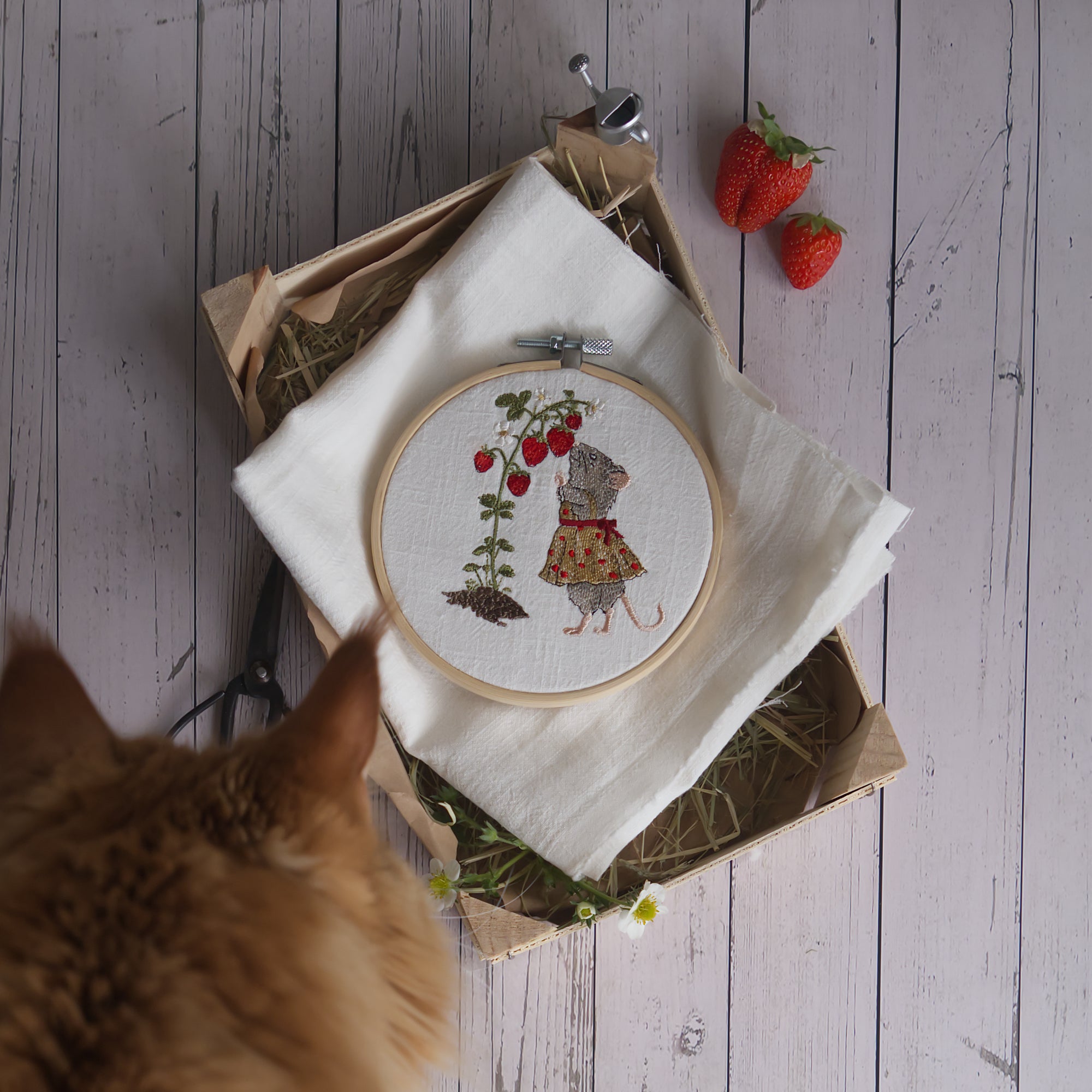 Stickdatei Maus schnuppert an der Erdbeere