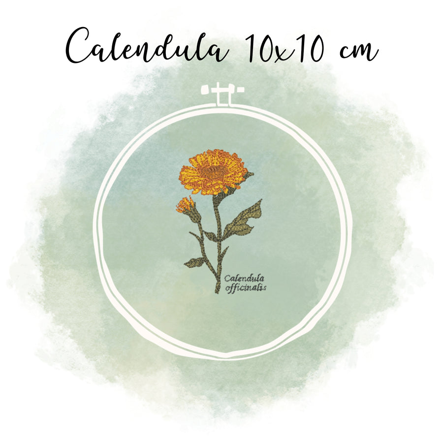 Stickdatei Botanische Zeichnung Calendula 10x10 cm