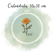 Lade das Bild in den Galerie-Viewer, Stickdatei Botanische Zeichnung Calendula 10x10 cm
