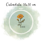 Calendula Bundle spare über 20 %