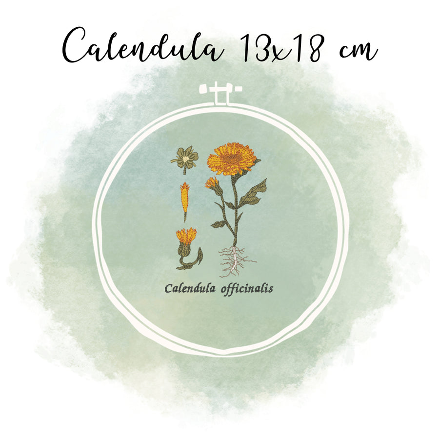 Calendula Bundle spare über 20 %