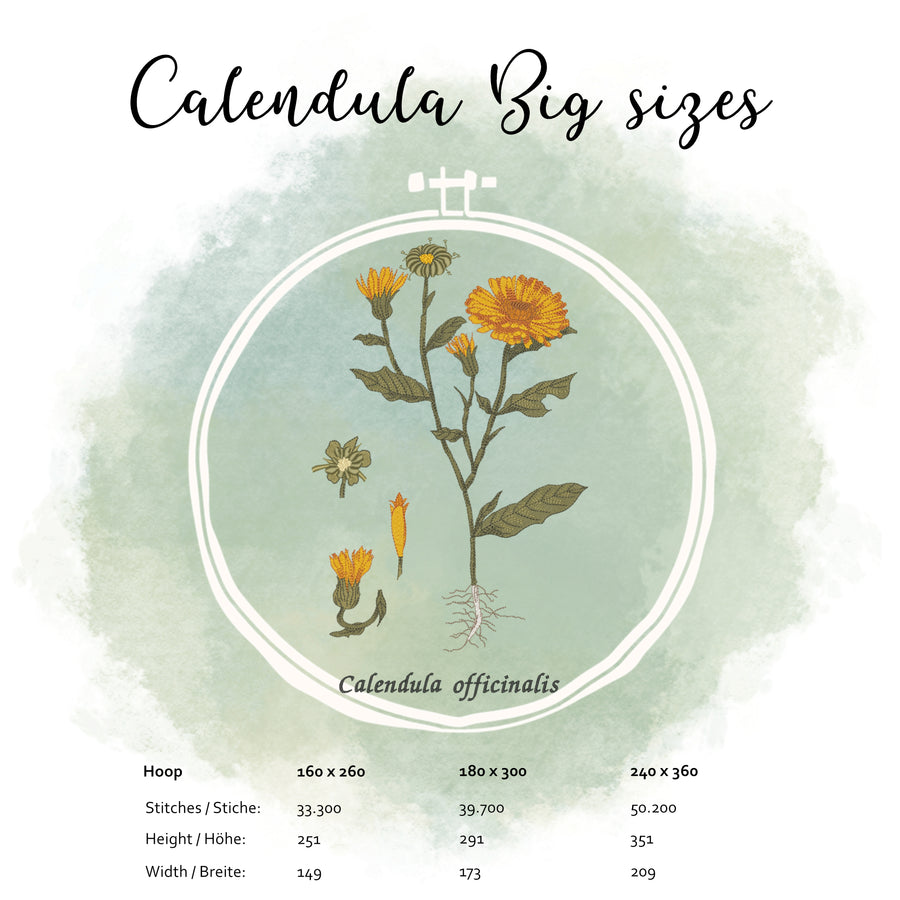 Stickdatei Botanische Zeichnung Calendula große Größen