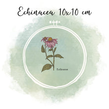 Lade das Bild in den Galerie-Viewer, Stickdatei Botanische Zeichnung Echinacea 10x10 cm
