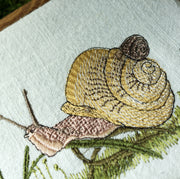 Stickdatei Set Schnecke im Blaubeerkranz