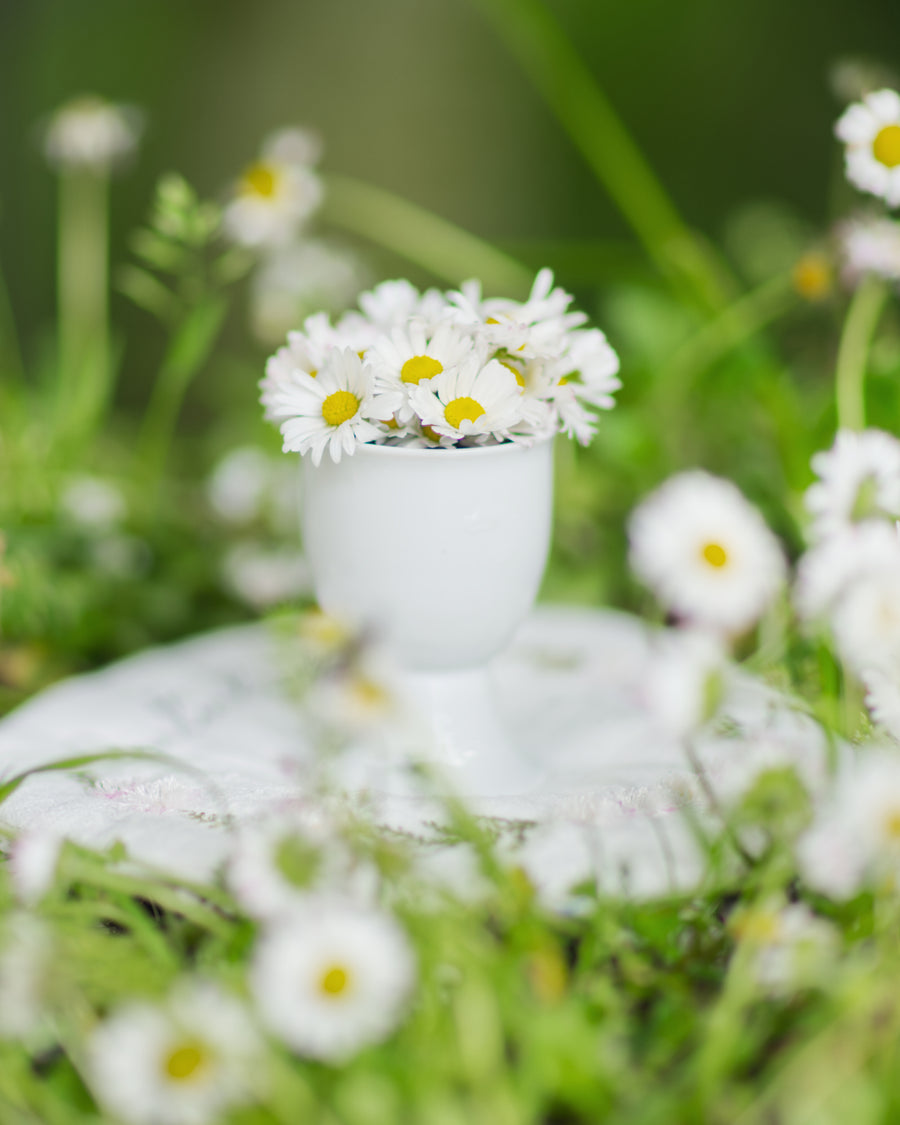 Stickdatei ITH Gänseblümchen MugRug