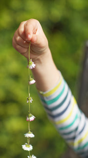 Stickdatei Gänseblümchen Wunschset