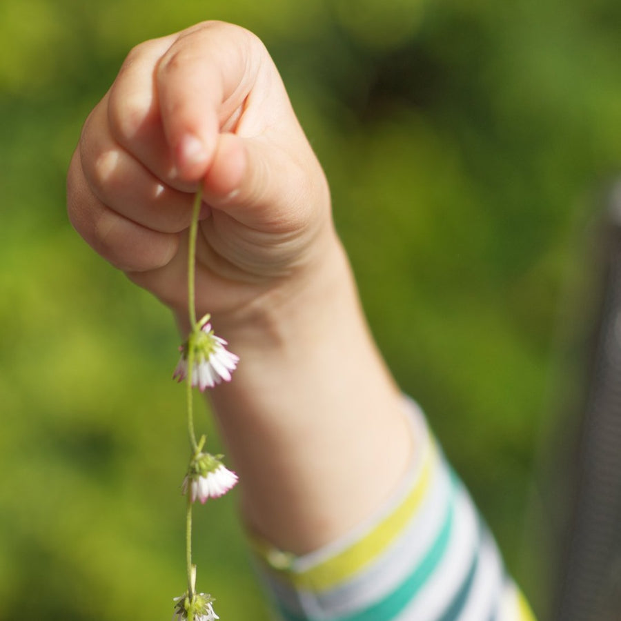 Stickdatei ITH Gänseblümchenherz Kissen aus der Serie Gänseblümchen